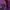 Indie Trench Coat Wanita Purple Burgundy