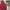 Old Navy Casual Windbreaker Pria white red photo 2