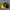 Thrasher Streetwear Y2K Hat Pria black yellow photo 4