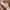 Adidas Streetwear Sneakers Wanita white pink photo 3