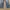 ASK Enquired Streetwear Y2K Jeans Pria blue photo 3