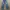 ASK Enquired Streetwear Y2K Jeans Pria blue photo 2
