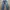 ASK Enquired Streetwear Y2K Jeans Pria Blue