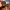 Von Dutch Vintage Y2K Hat Pria orange photo 3