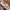 Adidas Streetwear Sneakers Wanita white pink photo 3