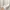 ADA Fashion Minimalist Casual Sweater Wanita white photo 2
