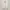 ADA Fashion Minimalist Casual Sweater Wanita white photo 1