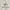 ADA Fashion Minimalist Casual Sweater Wanita white photo 3