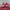VANS Casual Sneakers Pria red photo 4