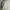 Nerdy Streetwear Track jacket Pria white black photo 2