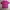 Streetwear Luxury T-shirt Pria Pink