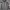 Sportswear Hoody Pria white gray photo 1