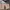 Fendi Y2K Luxury Shoulder bag Wanita pink photo 1