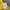 have a good time Streetwear Luxury T-shirt Pria yellow photo 5