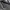 Noah Skater Hoody Pria gray photo 5