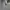Noah Skater Hoody Pria gray photo 4