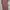 Minimalist Wanita green red photo 5