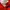 Umbro Sportswear Jersey Pria red photo 6
