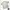 Adidas Sportswear Jersey Pria White