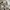Y2K Casual Crop top Wanita multicolor white photo 2