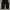 Y2K Sportswear Tracksuit Pria black photo 3