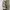 Tommy Hilfiger Streetwear Y2K Cami top Wanita multicolor photo 6