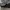 New Balance Streetwear Sportswear Sneakers Wanita gray photo 1