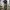 Vintage Y2K Formal pants Pria green photo 1