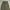 Vintage Y2K Formal pants Pria green photo 5