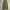 Vintage Y2K Formal pants Pria green photo 4