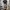 OshKosh Vintage Y2K Casual pants Pria white blue photo 1