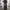Vintage Y2K Jeans Pria black photo 2