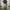 Vintage Y2K Jeans Pria green photo 1