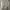 Luxury Coquette Cardigan Wanita white photo 3