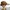Sportswear Casual Hat Pria brown photo 5