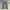 Adidas Y2K Sportswear Tracksuit Pria khaki photo 6