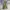 Adidas Y2K Sportswear Tracksuit Pria khaki photo 7