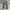 Adidas Y2K Sportswear Tracksuit Pria Khaki