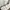 Adidas Minimalist Hoody Pria white cream photo 4