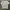Made in USA Vintage Streetwear T-shirt Pria white photo 4
