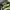 Carhartt Streetwear Hat Pria multicolor green photo 2