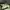 Carhartt Streetwear Hat Pria multicolor green photo 3