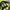 Carhartt Streetwear Hat Pria multicolor green photo 5