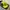 Carhartt Streetwear Hat Pria multicolor green photo 1