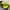 Carhartt Streetwear Hat Pria Multicolor Green