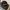 Carhartt Streetwear Hat Pria black photo 1