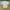 Converse Skater Casual T-shirt Pria white photo 1