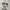 Stussy Streetwear T-shirt Pria white black photo 3