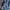 Indie Casual Harrington jacket Pria blue photo 7