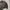 GAP Y2K Leather jacket Wanita brown photo 3